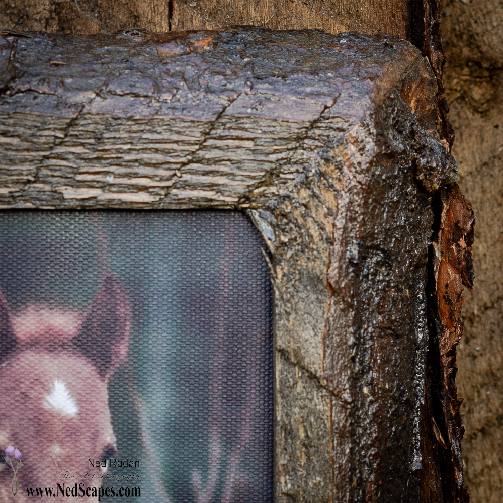 Wild Horses