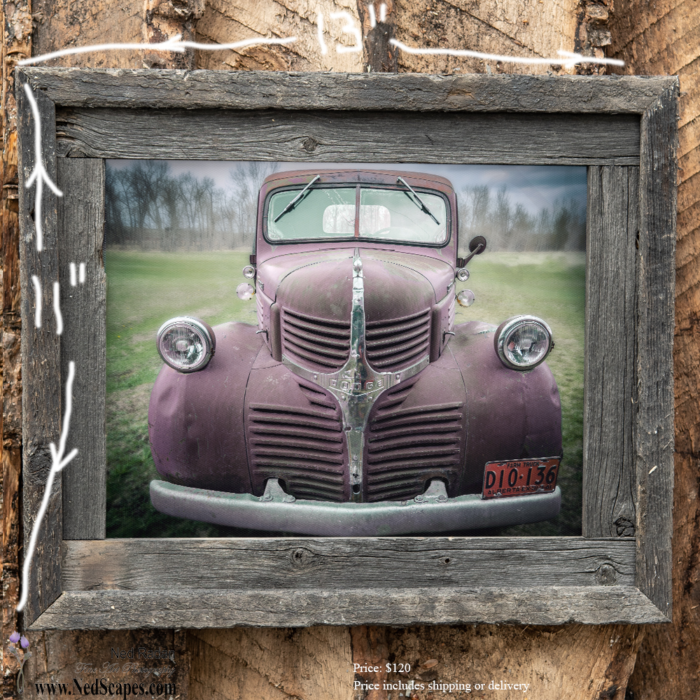 Dodge